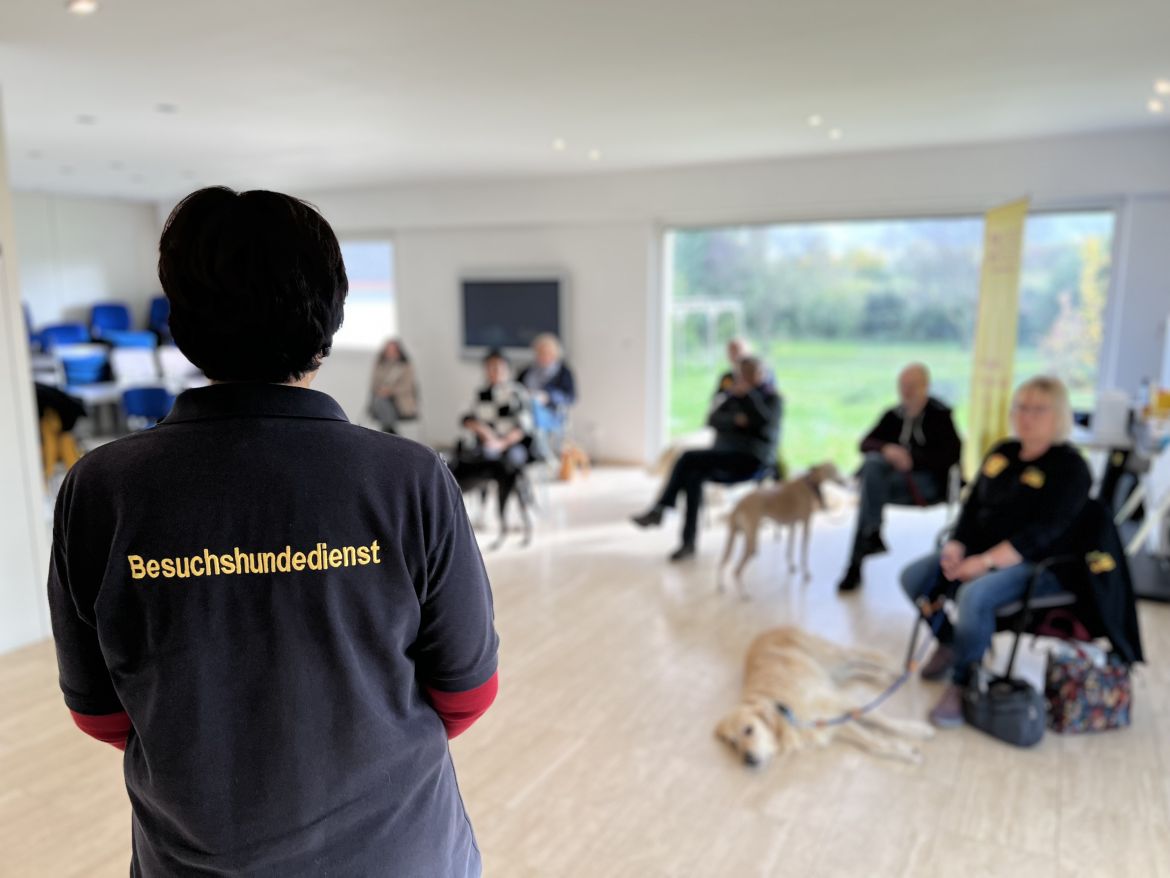 asb-worms-besuchshundedienst-eignungstest-2025 (7).jpeg