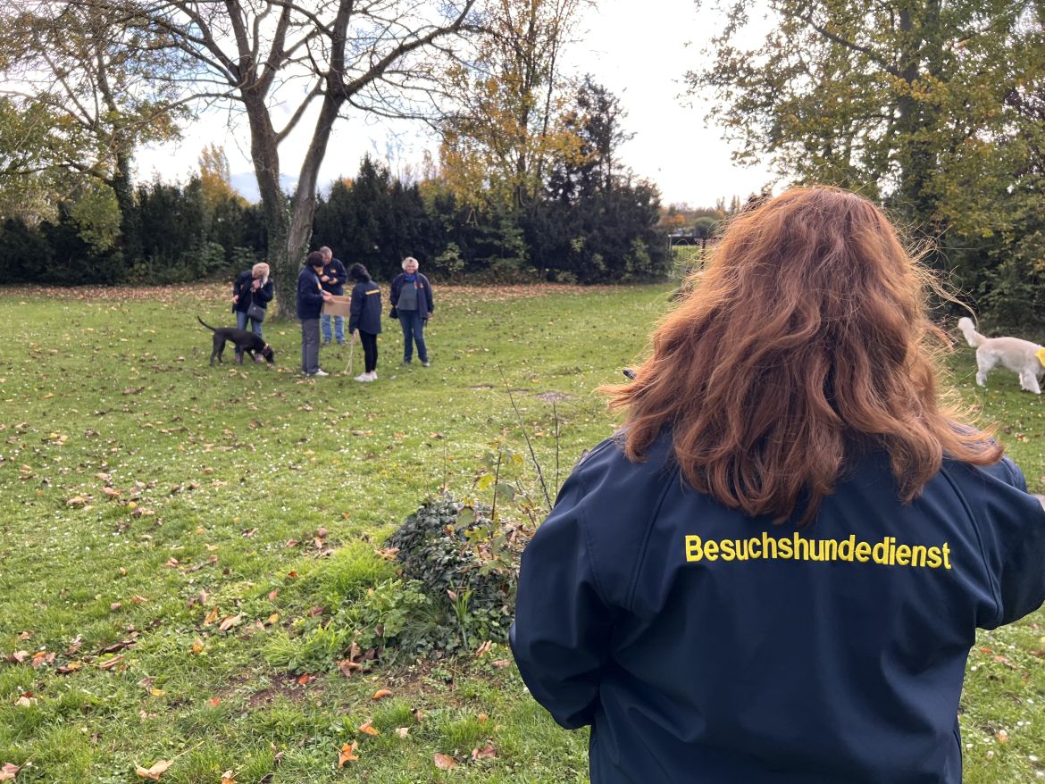 asb-worms-besuchshundedienst-eignungstest-2025 (92).jpeg